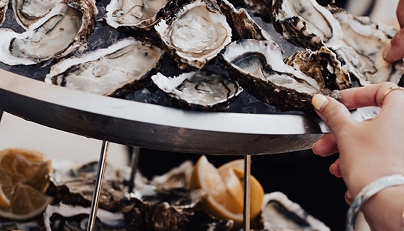 Image gallery marquee